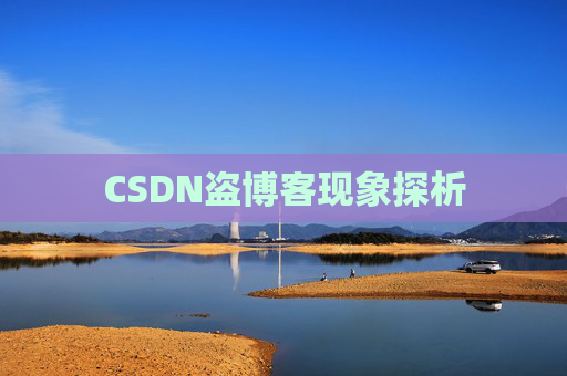 CSDN盗博客现象探析